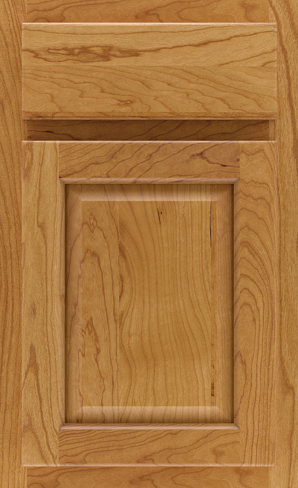 farrell_cherry_raised_panel_cabinet_door_light